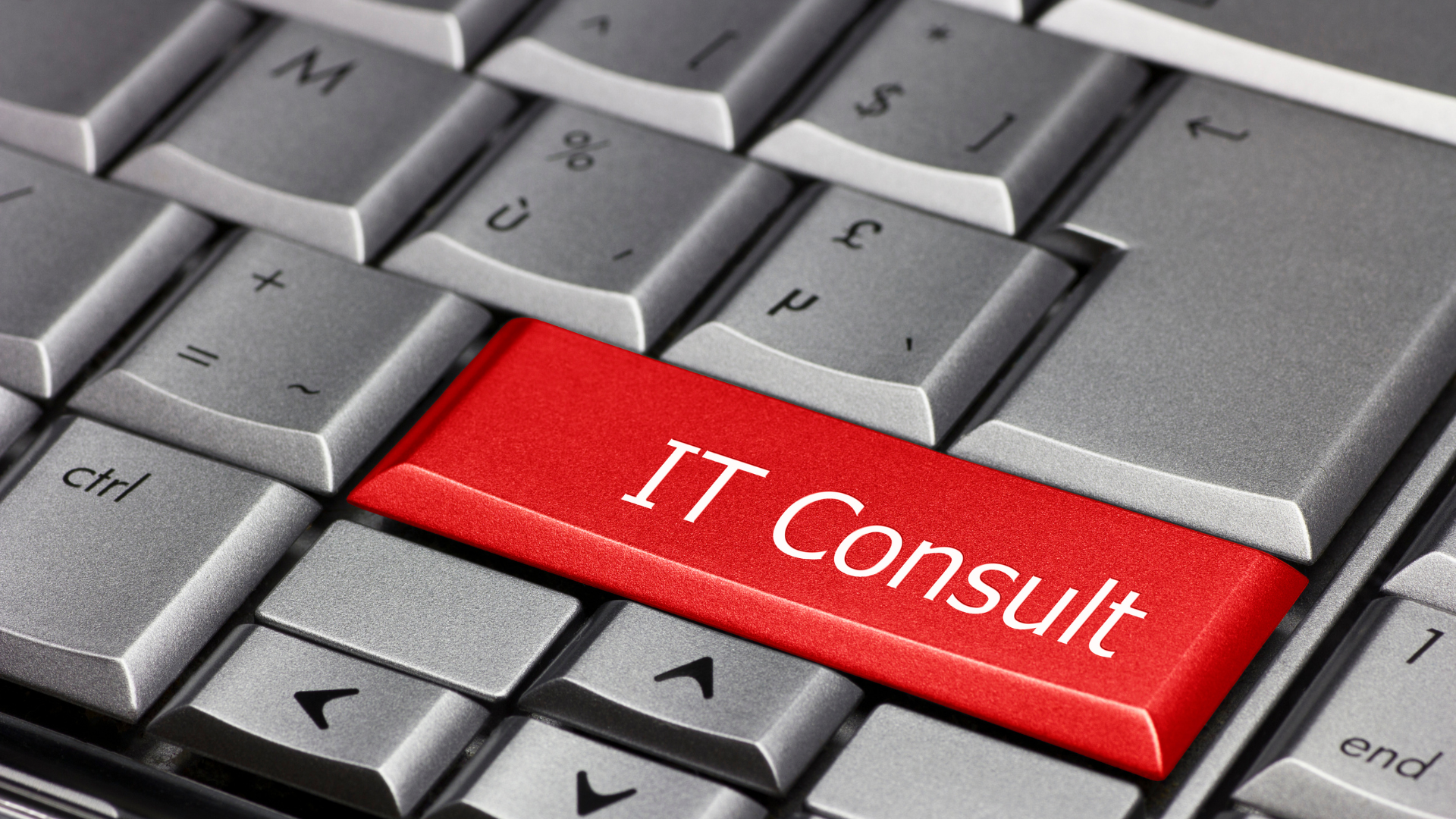 IT Consulting